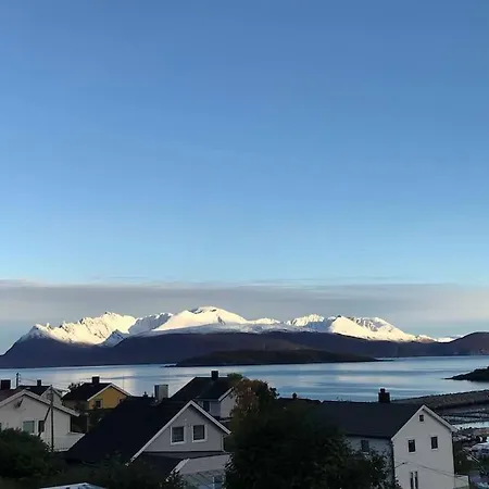 Perfect For Whale Safari At Skjervøy! Leilighet